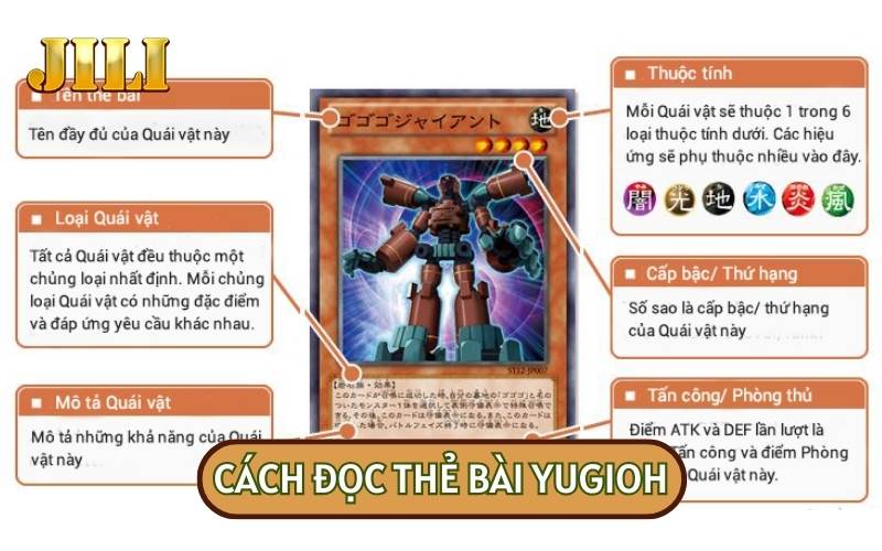 Cách đọc thẻ bài Yugioh sẽ bao gồm 3 loại thẻ cơ bản mà bạn cần nắm rõ